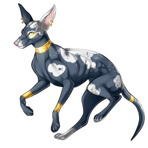 pet #3889